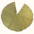 Gold Christmas Tree Skirt
